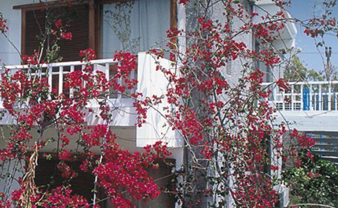 Chronis Rooms & Apartments Adamantas  Exterior photo